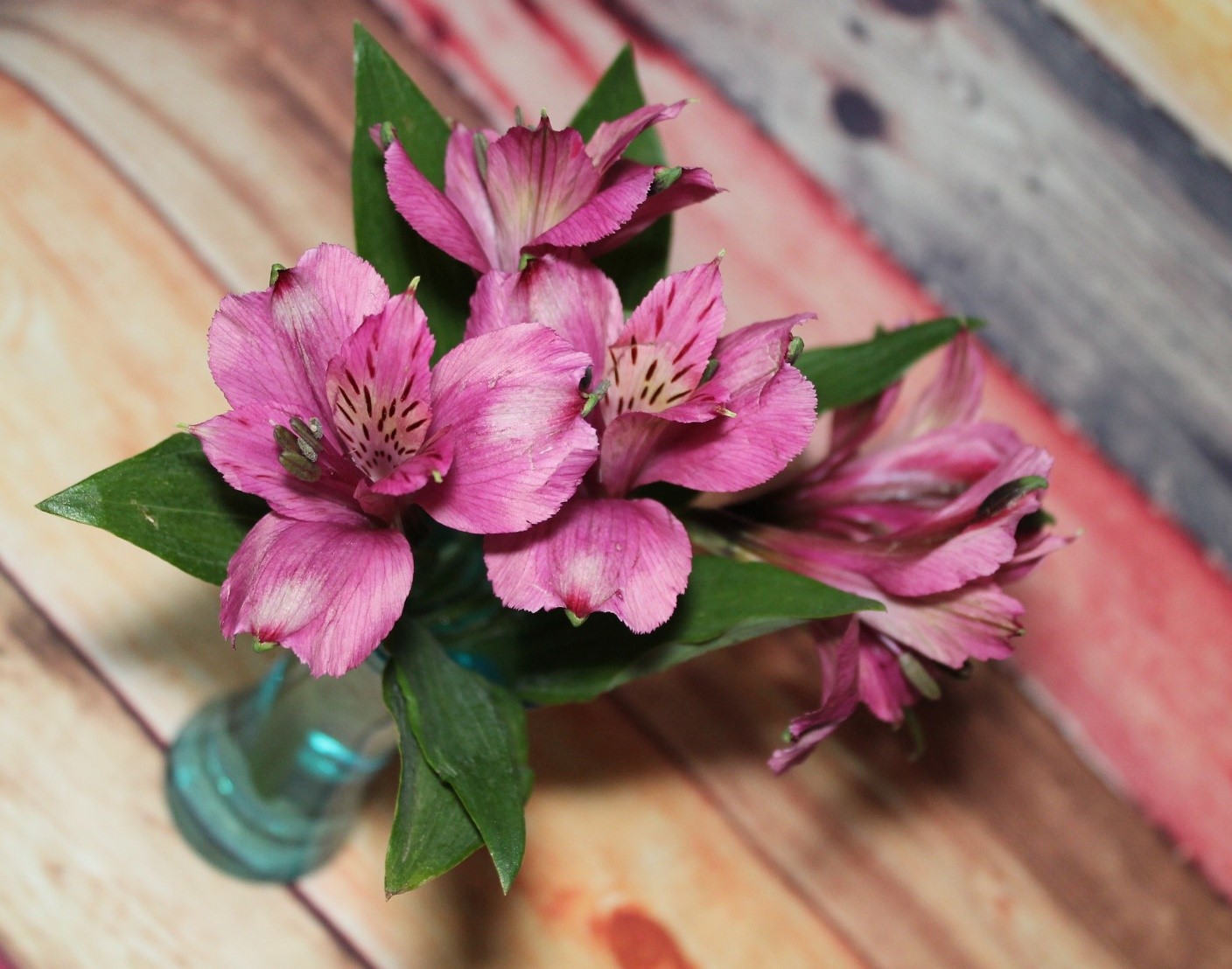 8 Best Cut Flowers for Home Décor By Lily's Florist
